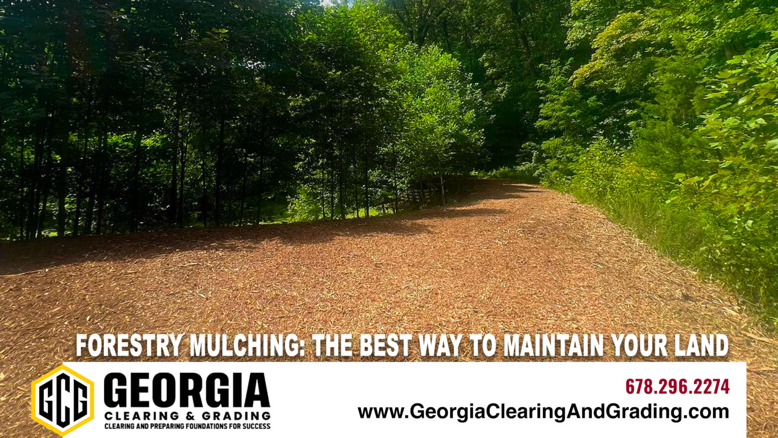 Georgia Forestry Mulching Company