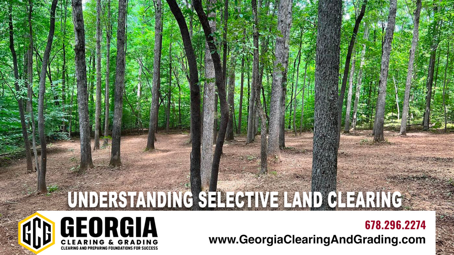 Understanding Selective Land Clearing