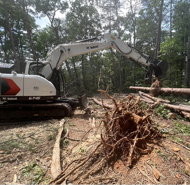 Georgia Land Clearing Company