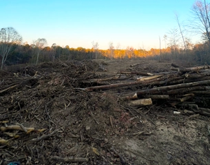 Georgia Land Clearing Company