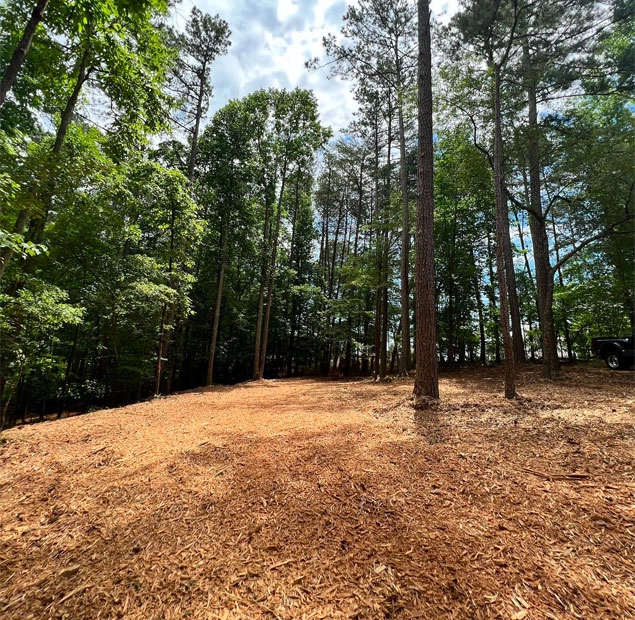 Georgia Forestry Mulching Services