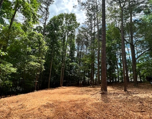 Georgia Forestry Mulching Services